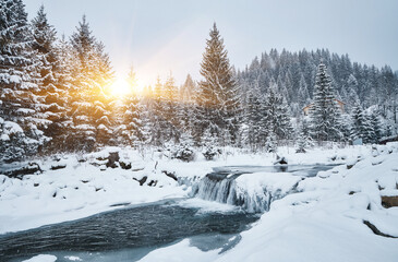Mountain river flowing through a snowy forest in winter.
