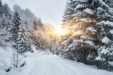 Winter wonderland scene with a frosty forest path.
