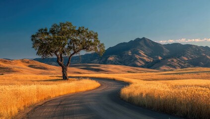 Fototapeta premium Serene road leads to mountains past a lone tree in a golden field under a blue sky