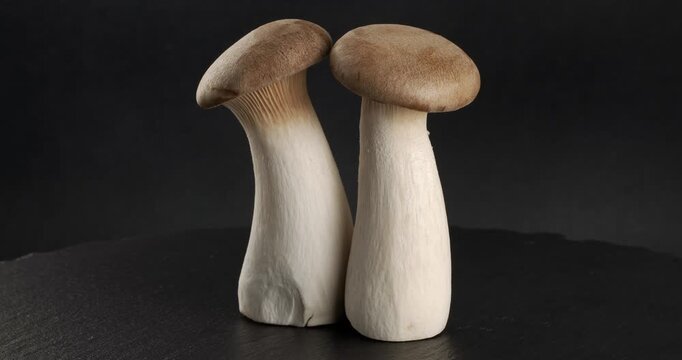 Eryngii (King Oyster Mushrooms) mushrooms close-up footage on rotating table.