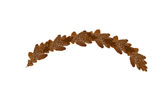 Christmas leaves decoration