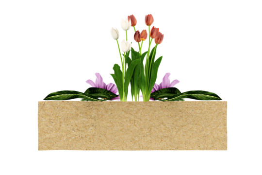 flowers ornament, tulips and text sheet for celebration, greeting 