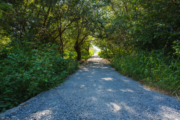 Fototapeta premium 芝川から大間木公園に至る砂利道 （さいたま市) 2025年8月25日撮影