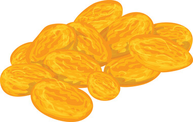 vector illustration of dried grapes