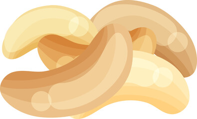 vector illustration of cashew nut