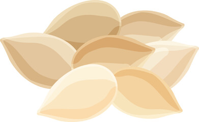 vector illustration of white seeds