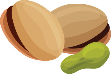 vector illustration of pistachio nut
