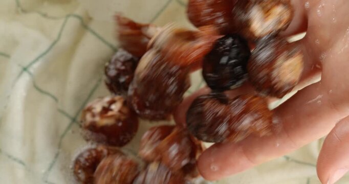 Soap nuts fall from the hand into water with bubbles.