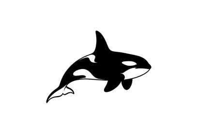 Orca Whale Silhouette Logo
