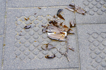 Shattered brown glass from a broken bottle scattered across a textured gray pavement, a dangerous hazard of urban litter and debris