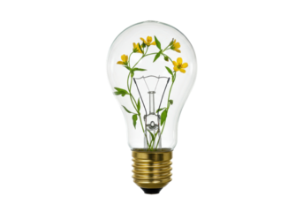 Light bulb with yellow flowers inside isolated on white, concept for green energy and environmental conservation PNG