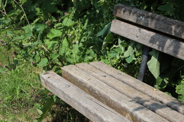 Fototapeta premium faded rustic bench in summer sunshine (close-up)