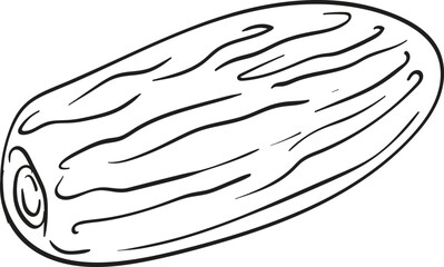 vector illustration of outline of date fruit