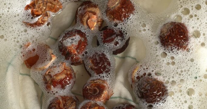 Soap nuts floating in water with bubbles. Close-up footage of the rotating table.