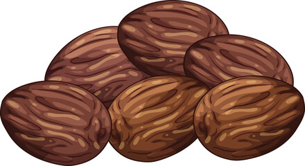 vector illustration of dried brown dates
