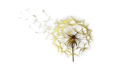 3d dandelion seed head dispersing seeds isolated on transparent background