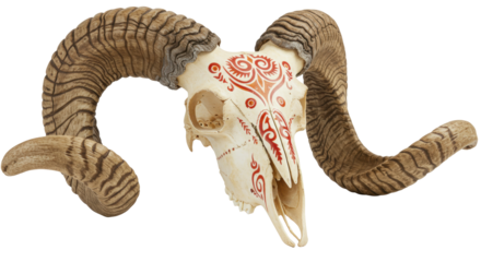 Ram skull with tribal markings isolated on transparent background, decorative animal skull for gothic and occult design