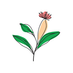 Flat design boho wall art illustration