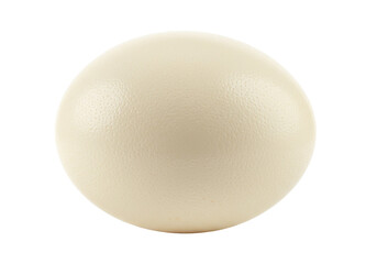 Large ostrich egg isolated on transparent background, natural beige sphere with textured surface for decoration and design