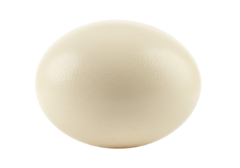 Large ostrich egg isolated on transparent background, natural beige sphere with textured surface for decoration and design