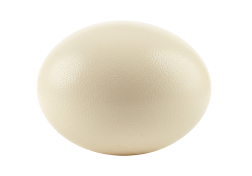 Large ostrich egg isolated on transparent background, natural beige sphere with textured surface for decoration and design