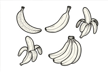 Vector banana set in hand drawn sketch style. Includes bunch, single, peeled and overripe bananas. Isolated tropical fruit icons for healthy food concepts. Doodle art graphic.