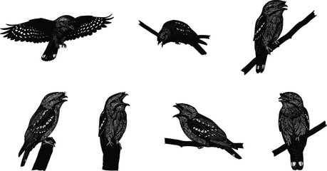 Detailed black silhouette illustration of night birds perched on branches and flying, isolated vector artwork for nature, wildlife, and design projects
