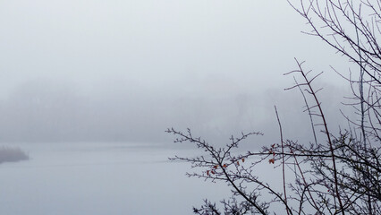 A mystical, foggy winter landscape with a frozen, quiet lake and bare tree branches in the foreground