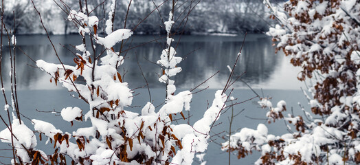 Snow-covered branches in the foreground against the backdrop of a calm river surface, creating a peaceful winter landscape