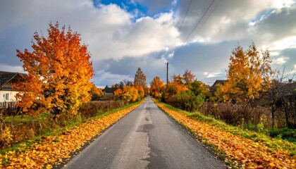 Obraz premium Autumn Village Road