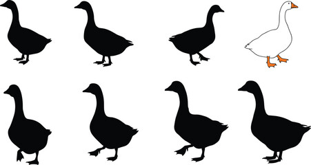 Goose silhouette collection, colored goose illustration, wild bird vector, farm animal design, black goose artwork, educational wildlife graphic, nature puzzle element