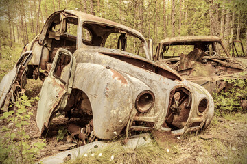 Old rusted and weathered scrap cars in a forest