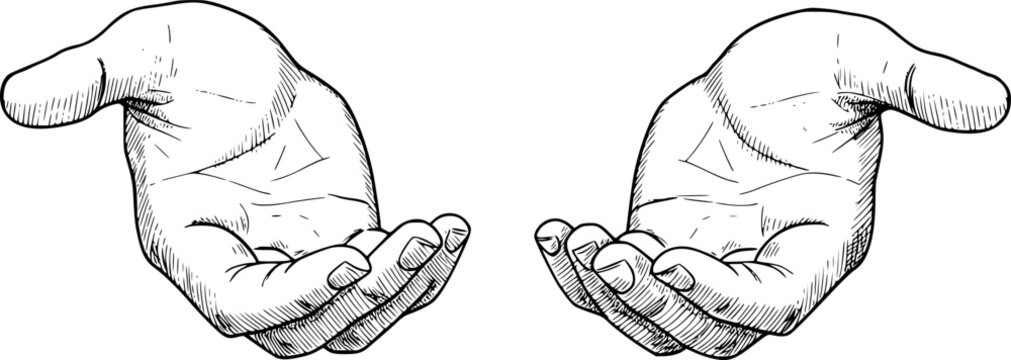 Realistic sketch of two open hands with detailed linework, concept of giving. Vector illustration
