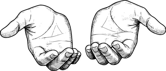 Realistic sketch of two open hands with detailed linework, concept of giving. Vector illustration
