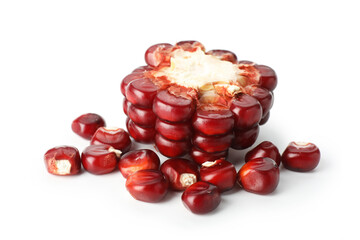 Piece and kernels of ripe red corn cob isolated on white