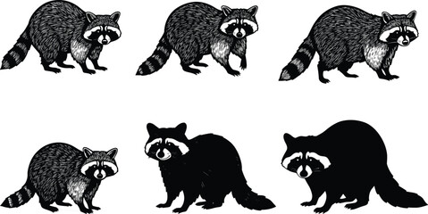 Raccoon illustration, cartoon raccoon art, woodland animal drawing, forest wildlife vector, mammal design, nature artwork, black and white character