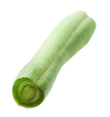 Piece of fresh green bean isolated on white