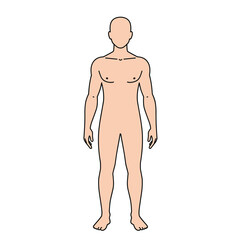Fototapeta premium Vector outline illustration of male body