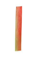 One fresh rhubarb stalk isolated on white