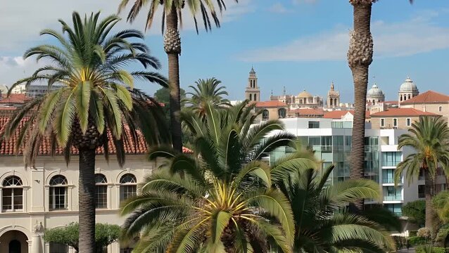 Frondescent palm fronds command the frontal perspective, partly veiling vista of varied structural designs that fuse contemporary with historic edifices below brilliant azure firmament
