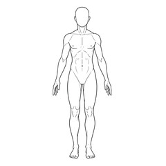 Vector outline illustration of male body