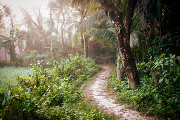Winding Dirt Path Disappearing into the Deep, Lush Canopy of a Tropical Rainforest or Dense Asian Jungle. Dense Foliage of a Tropical Forest or Jungle. 