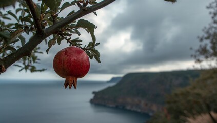 A single, vibrant pomegranate hangs from a branch overlooking a dramatic coastal landscape.