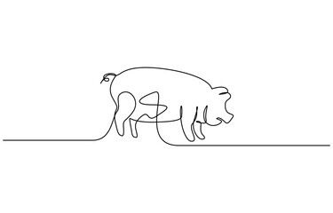 Continuous one line drawing of Pig minimalist line art illustration. Editable stroke