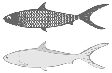 Imagination image of milkfish icon on white background, vector