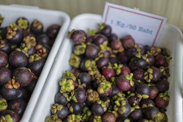 Delightful display of fresh purple mangosteen fruit, tropical delicacy, found vibrant local market. This healthy produce offers delicious appeal, making it an enticing food choice for any palate