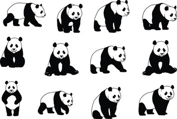 Fototapeta premium Cute panda bear vector illustration set showing different poses, walking, sitting, standing, cartoon style black and white animal design.