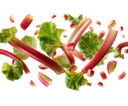 Fresh rhubarb stalks and leaves isolated on transparent background, with chopped pieces flying in motion, representing healthy ingredients for cooking and baking