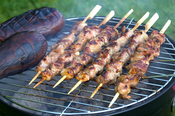Sebze ve Et Kebabı, Barbeque with vegetables and meat