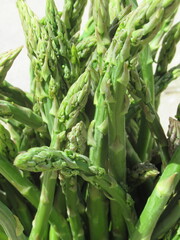Zbliżenie na młode pędy szparagi © Kumulugma